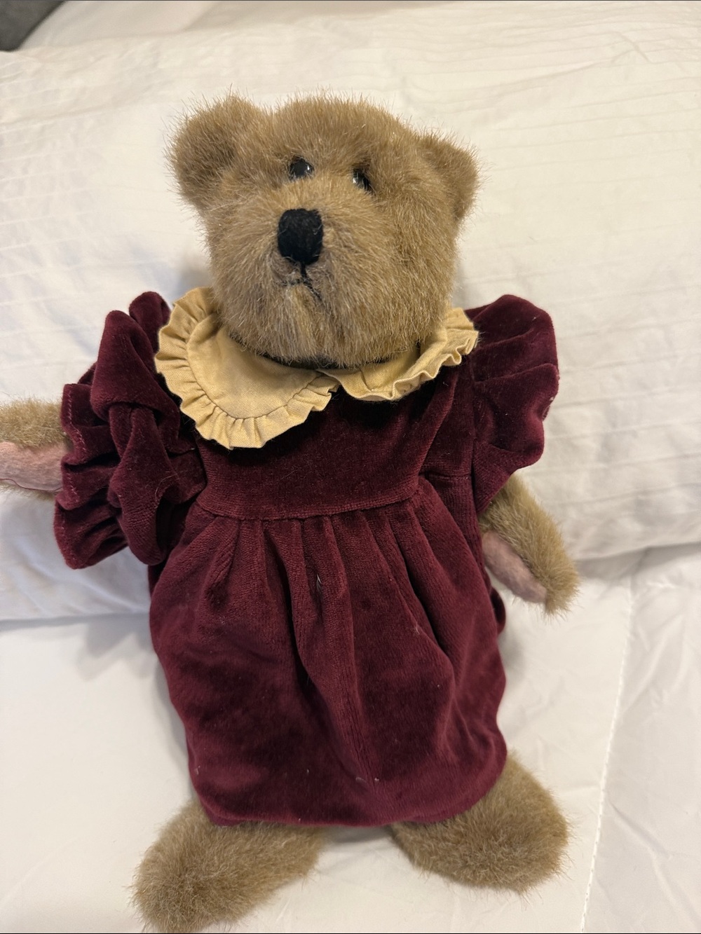 Boyds Bears Bear in Burgundy Velvet Dress with Tan Ruffle Collar